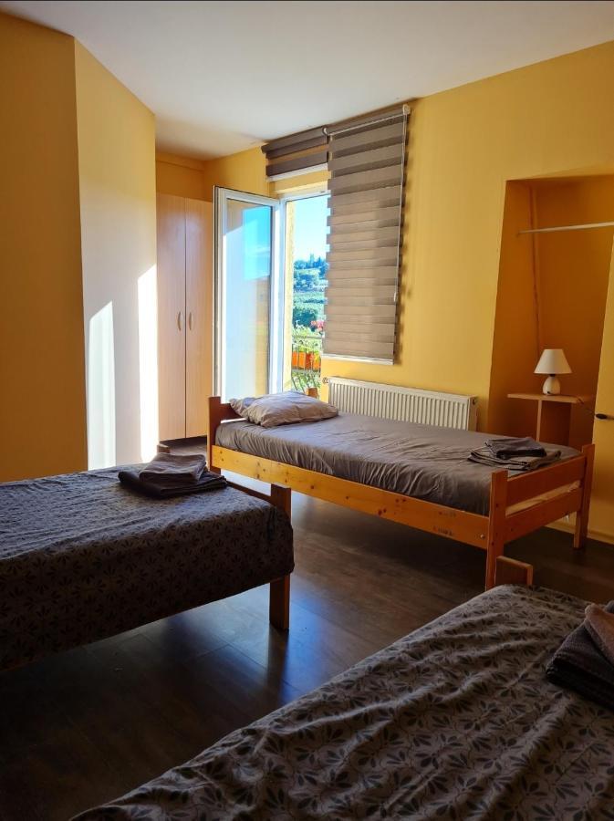 Vila Belilo Sremski Karlovci Zewnętrze zdjęcie